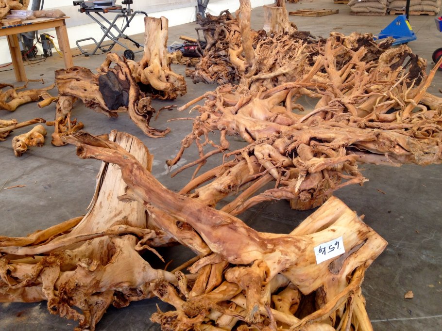 Кора сандалового дерева