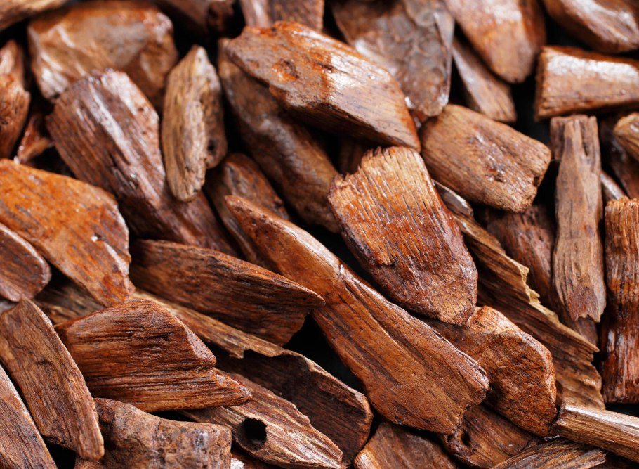 Сандаловое дерево в Индии