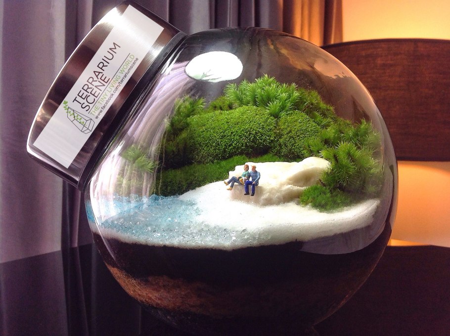 Сад в бутылке флорариум