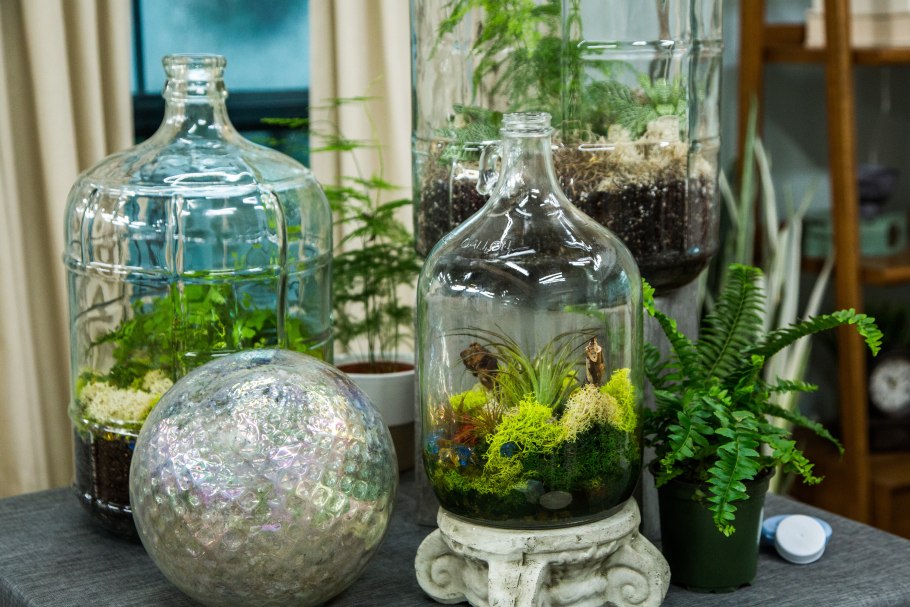 Сад в бутылке