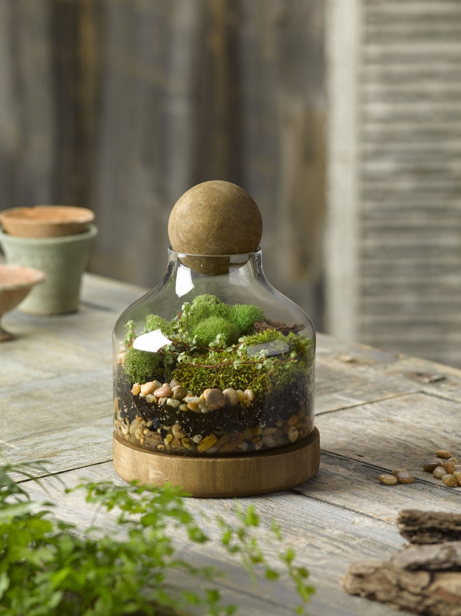 Terrarium Moss террариумный мох