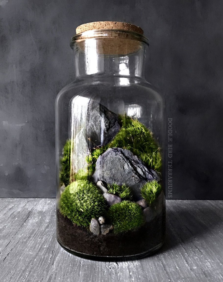 Terrarium Moss террариумный мох