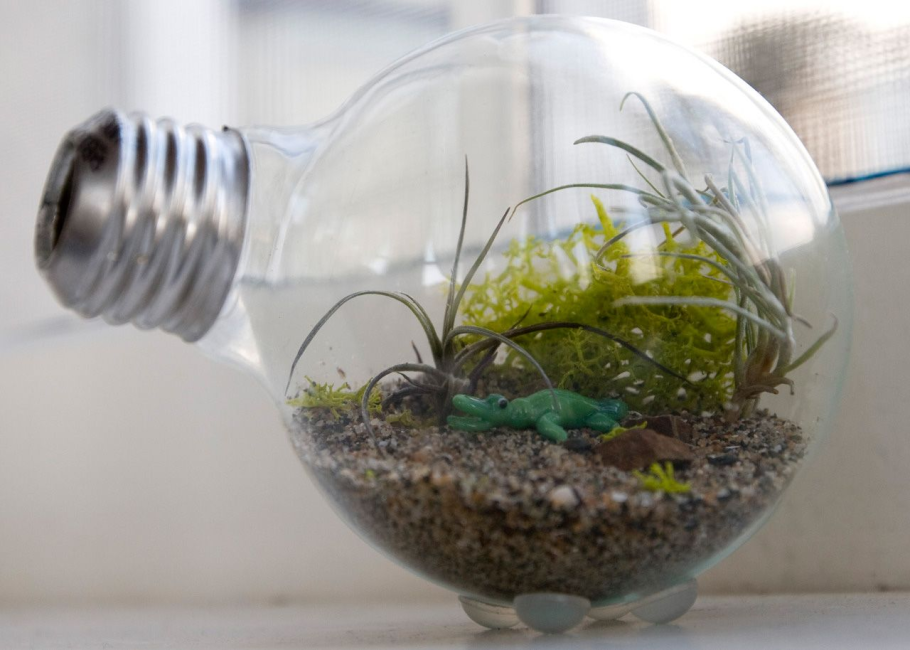 Флорариум микромир