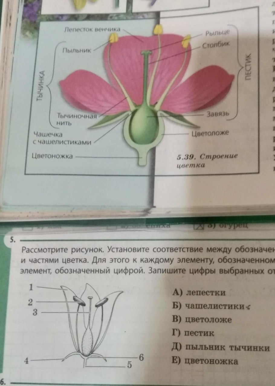 Название станции по биологии
