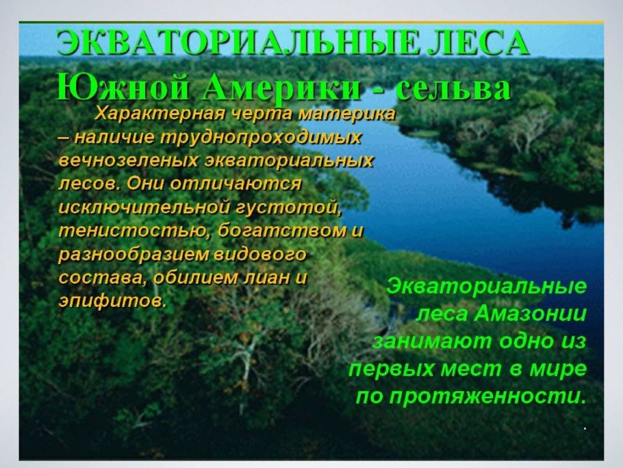 Сообщение о растениях хищниках 6 класс биология