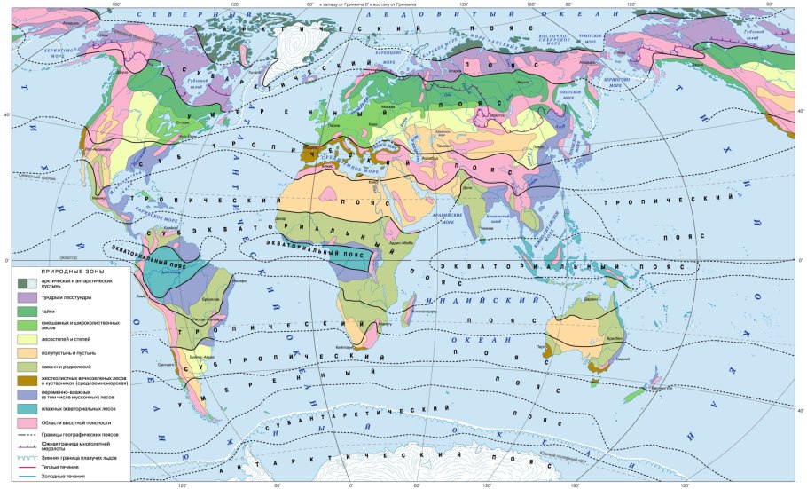 Отличительные черты экваториальных лесов