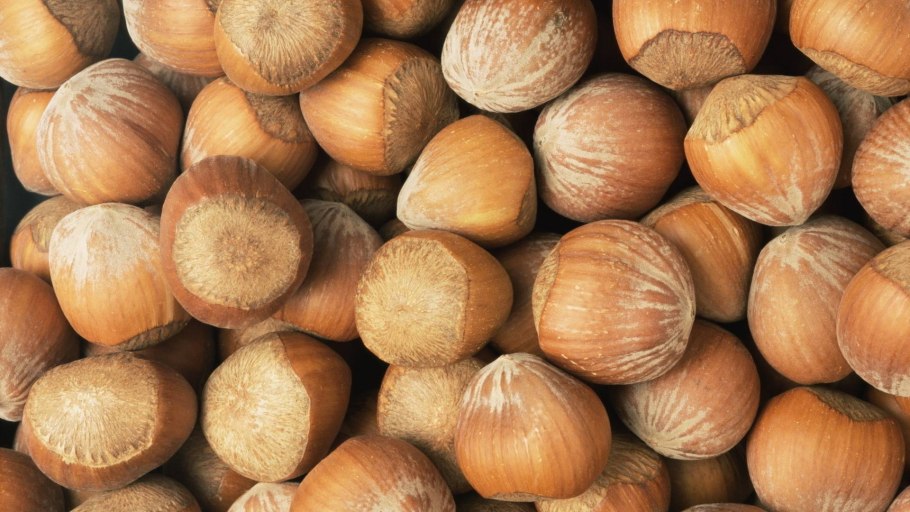 Лесной орех (Hazelnut)