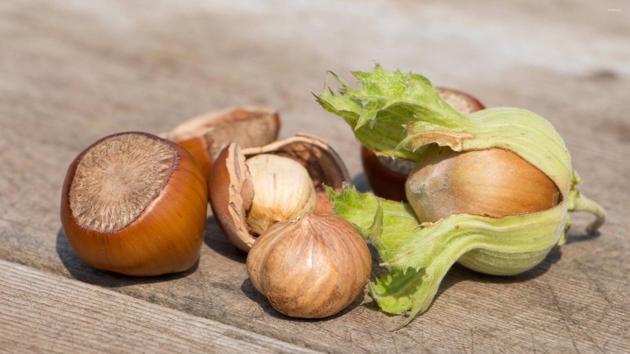 Орех фундук плод