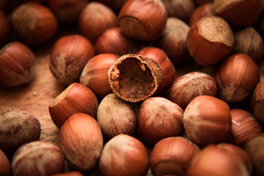 Фундук (Лесной орех)