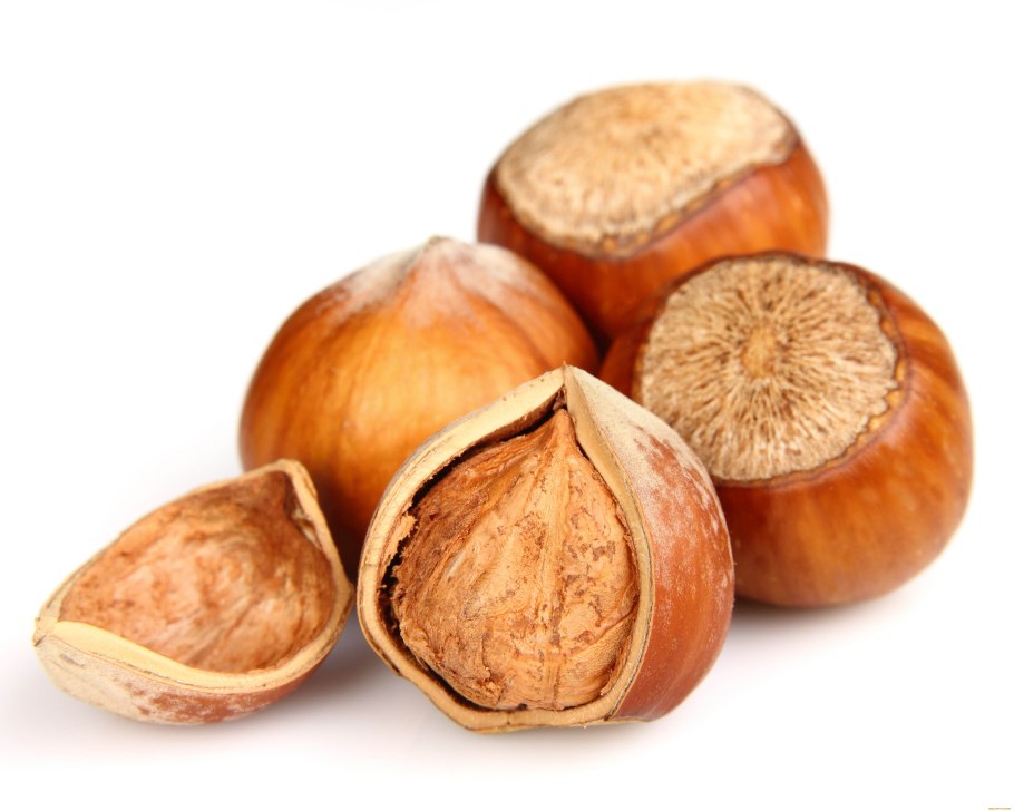 Плод фундука