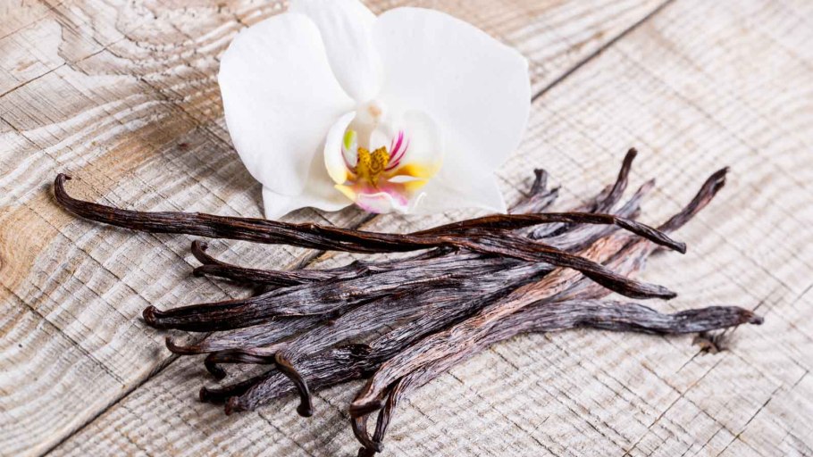 Бурбонская ваниль растение