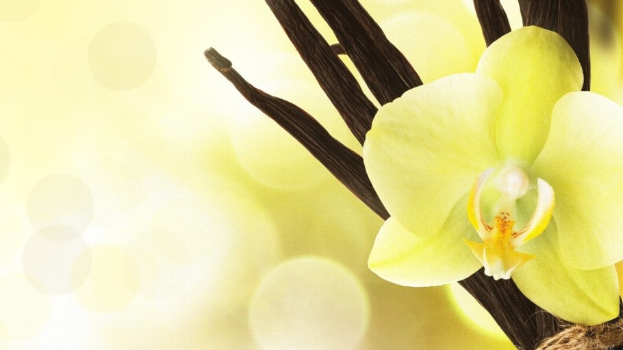 Орхидея фаленопсис ваниль