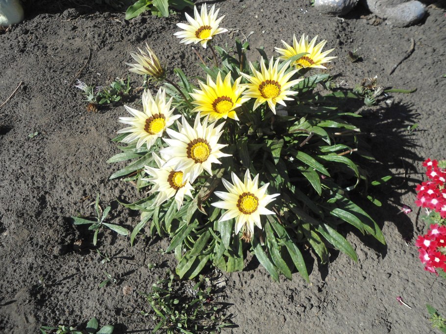 Гацания Кипр