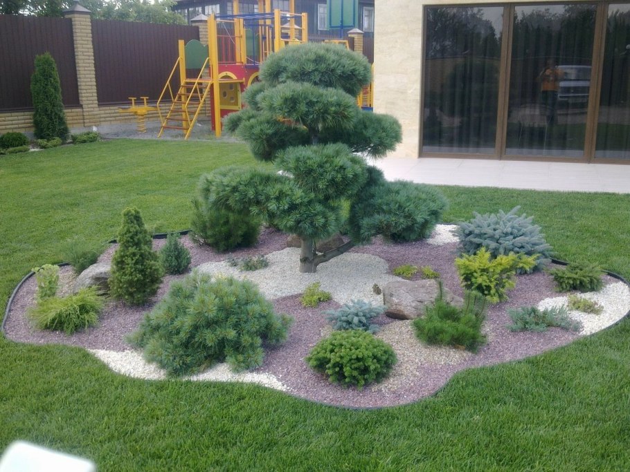 Рокарий с хвойными