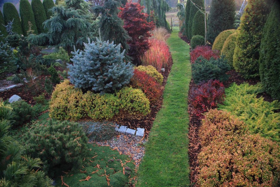 Сад из вечнозеленых растений