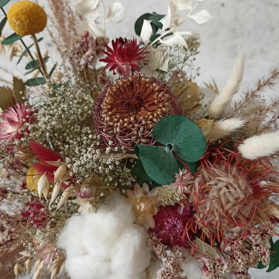 Dried Banksia Protea