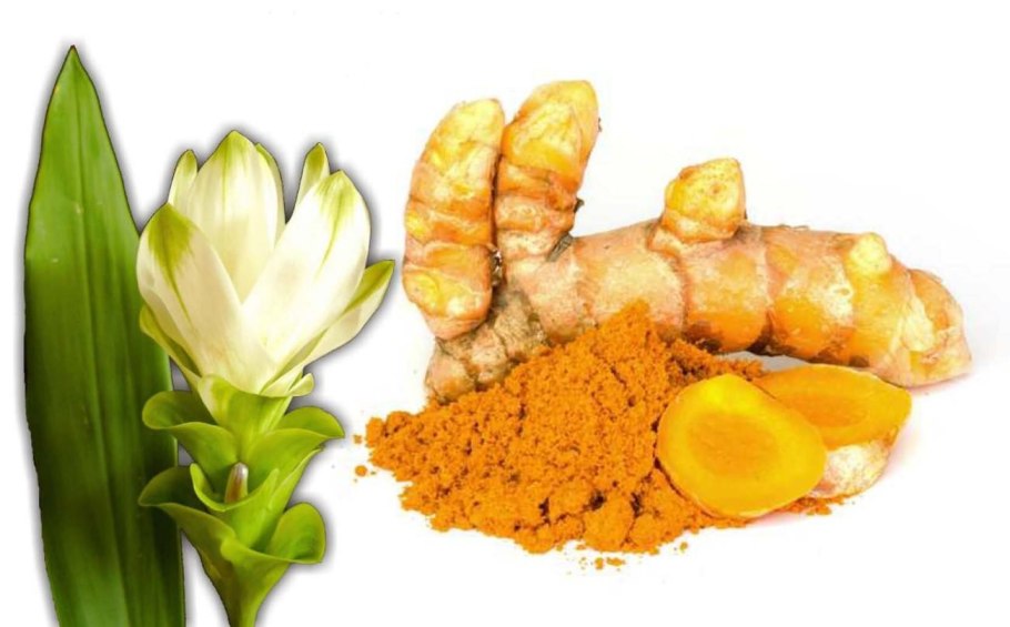 Куркума Meira Kurkuma 60г