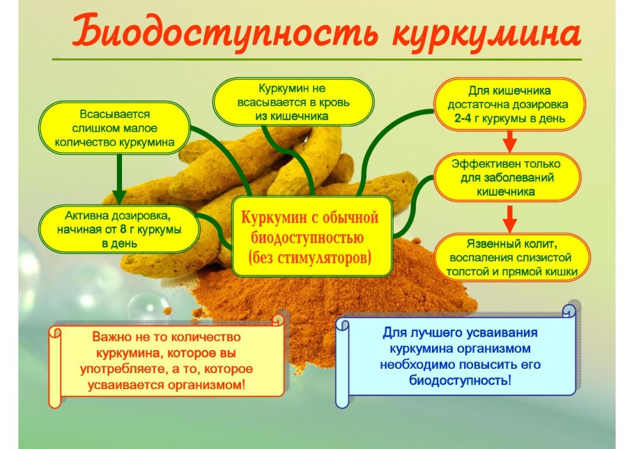 Дозировка куркумина в день