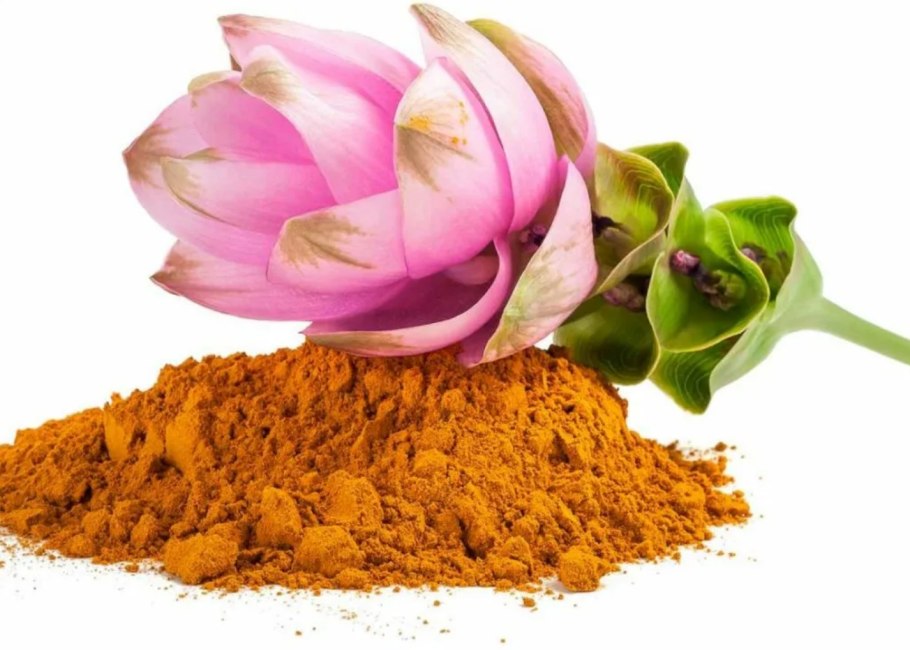 Куркумин цветок