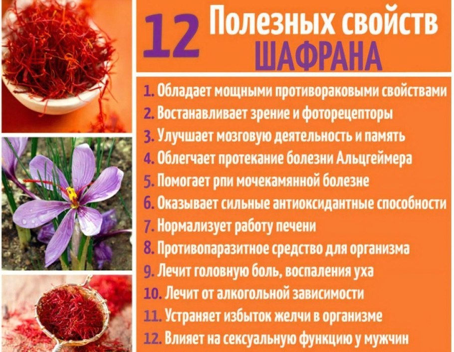 Шафран полезные свойства
