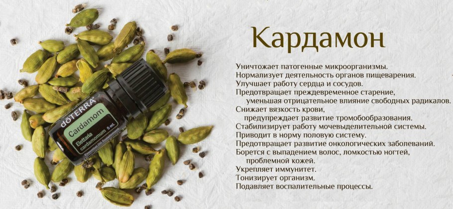 Кардамон что это полезные свойства