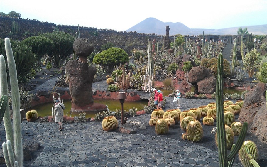 Сад кактусов Сезара Манрике