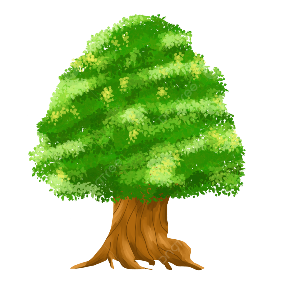 Африканская зонтичная Акация