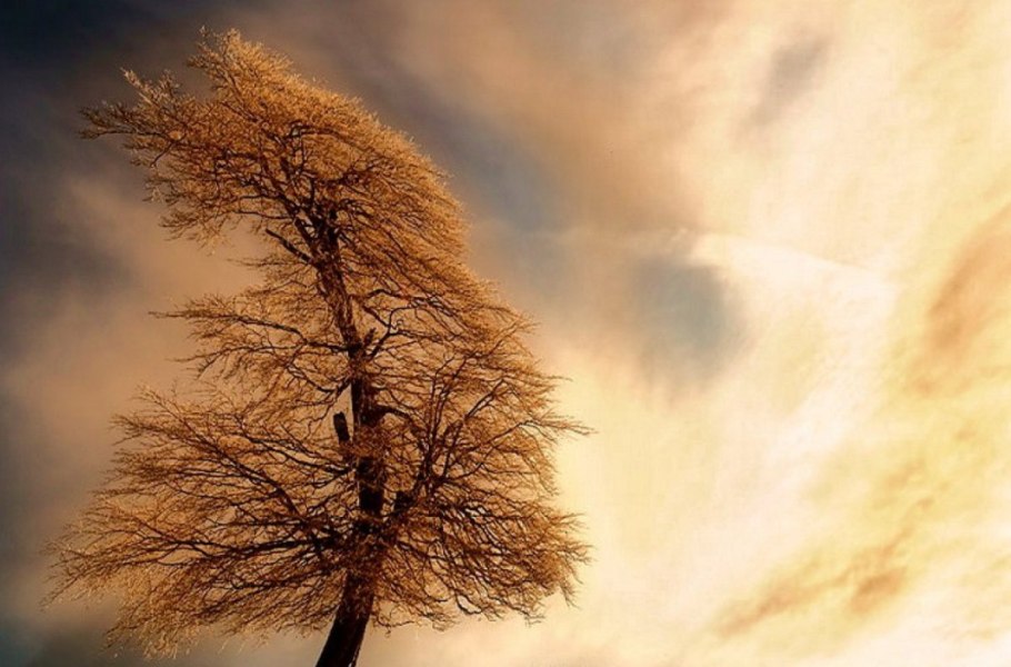 Великий Баньян