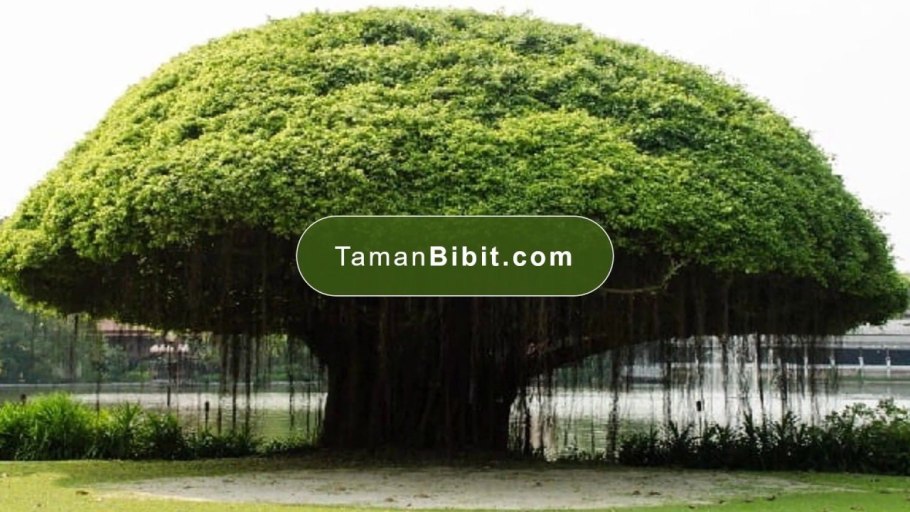 Декоративное дерево из проволоки