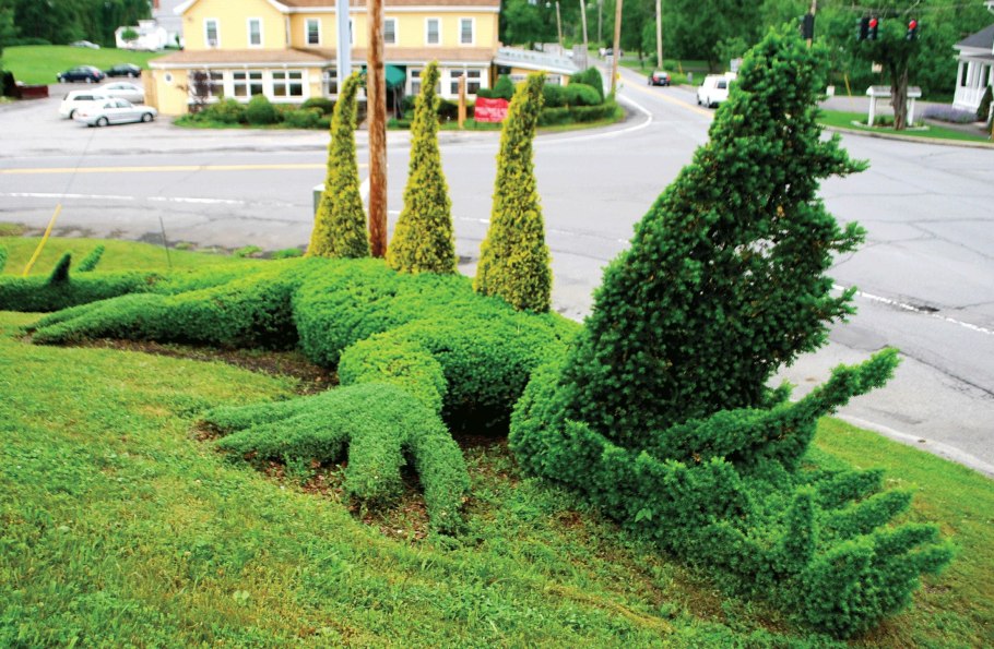 Топиарная стрижка можжевельника Блю Эрроу