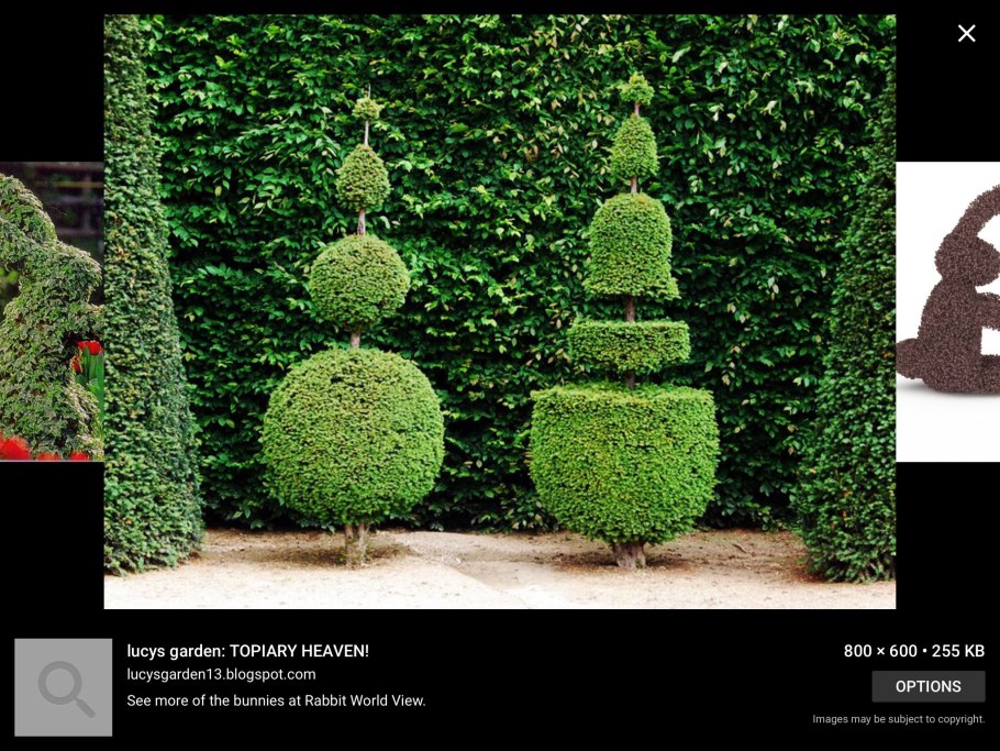 Топиарное искусство в Версале