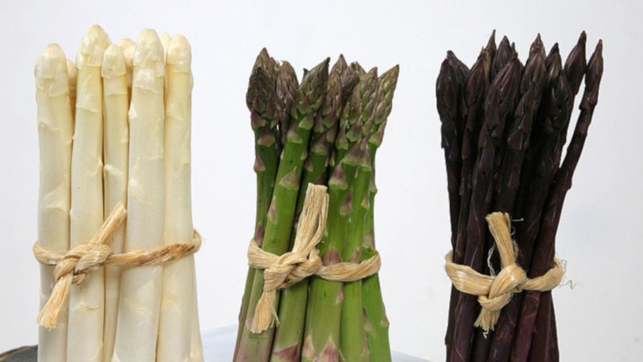 Слава Брауншвейга спаржа