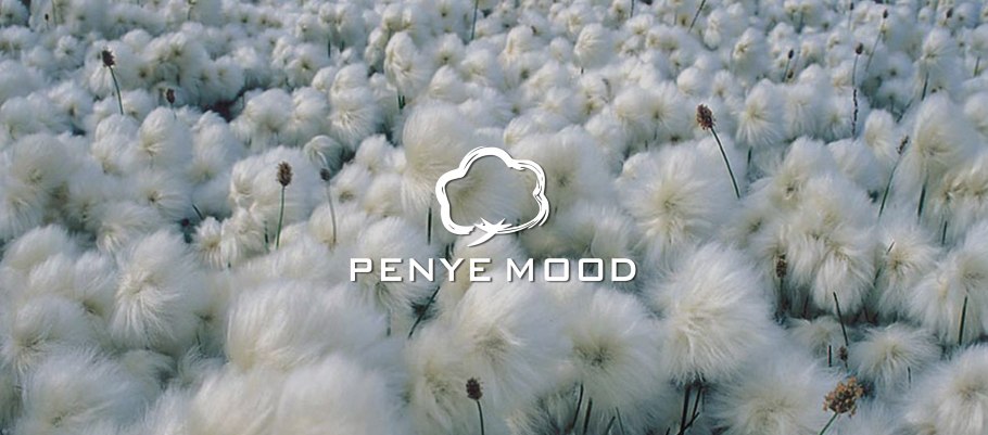 Пушица (Eriophorum)