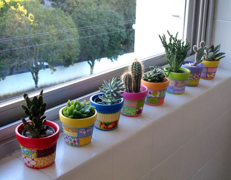 Кактусы на подоконнике
