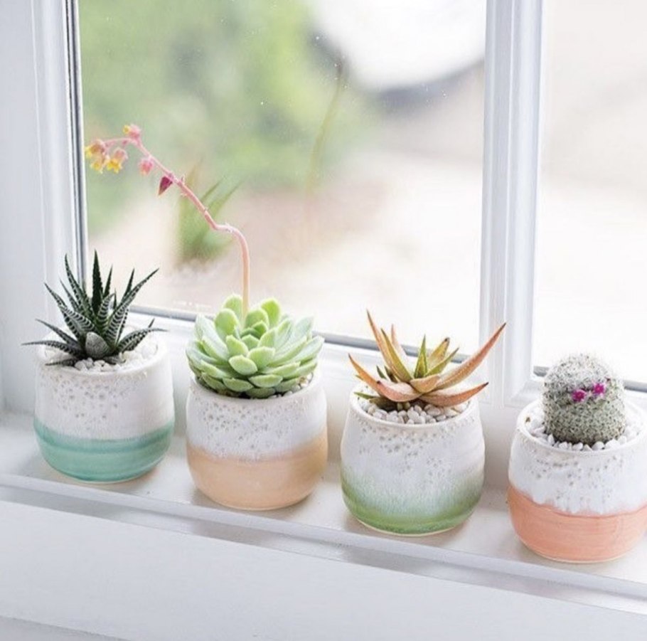 Домик для кактусов