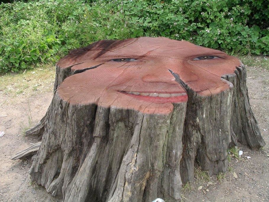 Страшный пенек