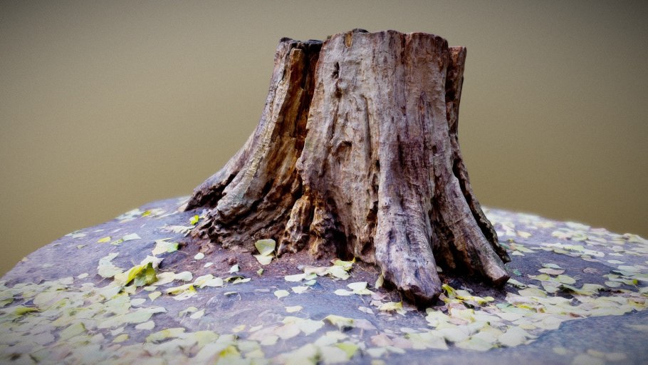 Пень с корнями