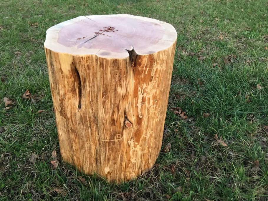 Пенёк липовый