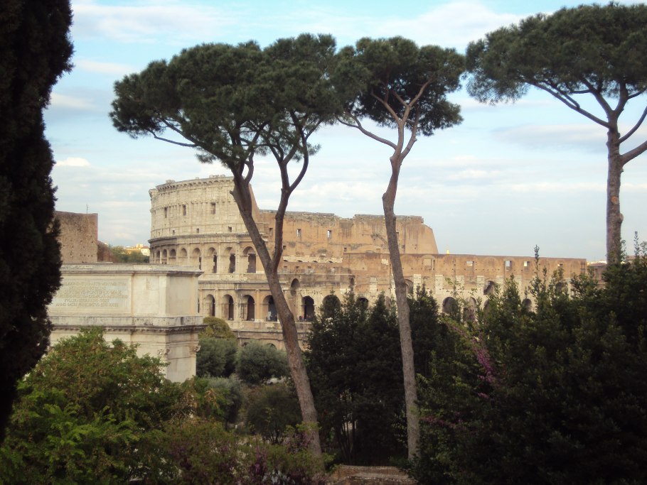 Италия сосны и кипарисы