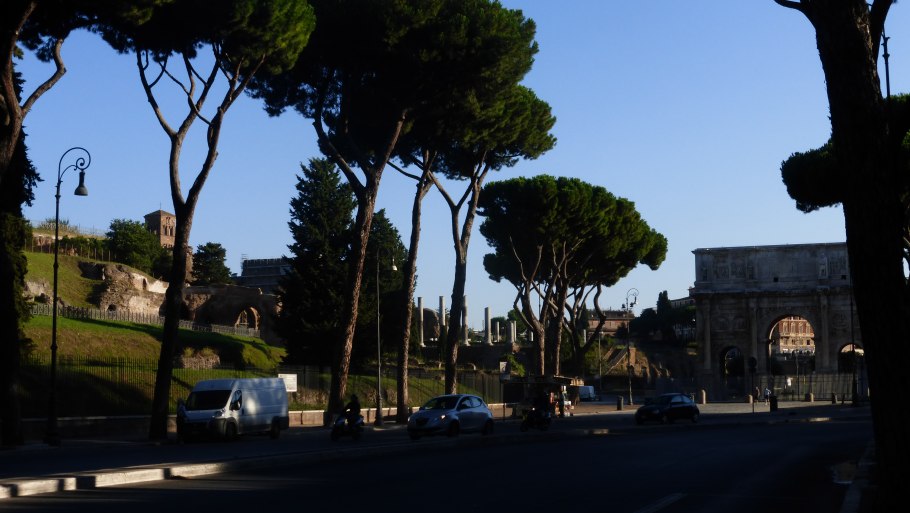 Танпхун дерево Корея