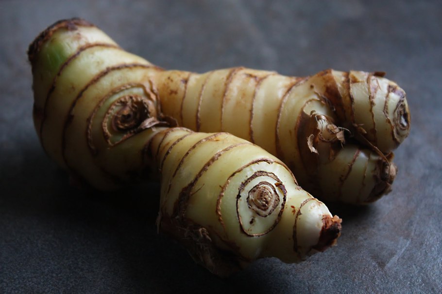 Корень галангала