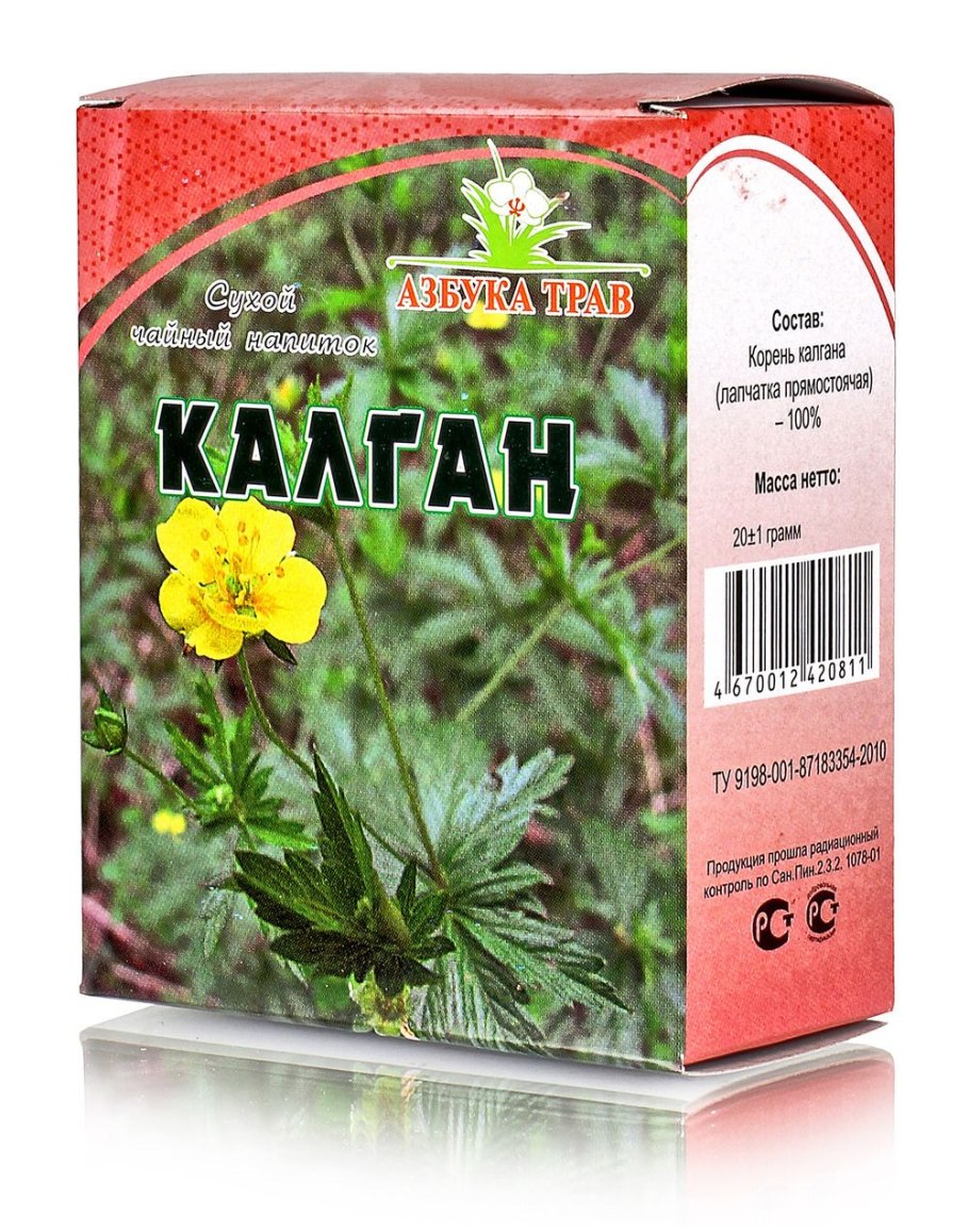 Лапчатка прямостоячая калган