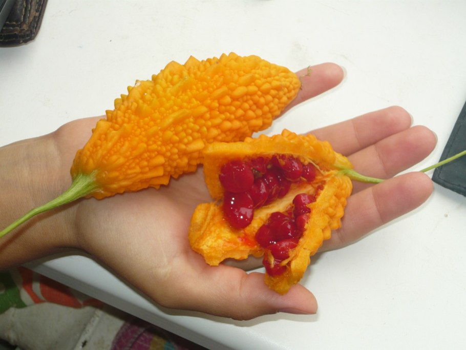 Момордика кохинхинская