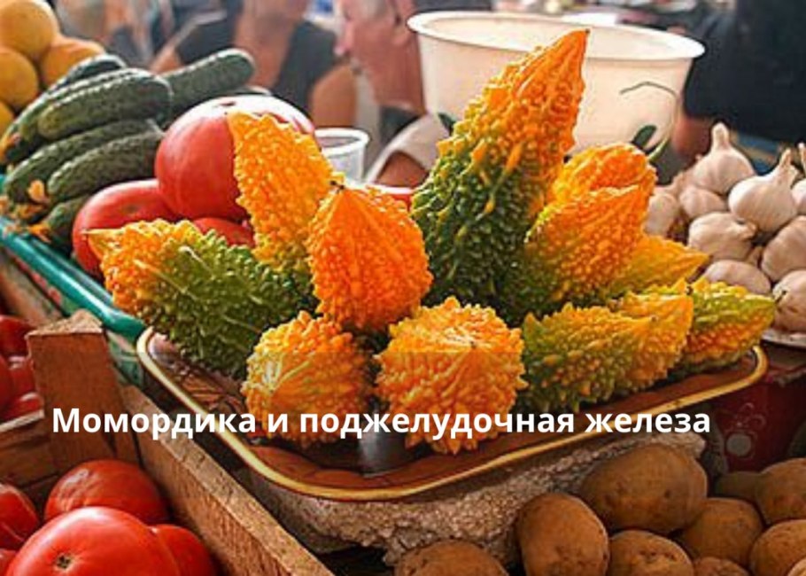 Момордика харанция: индийский огурец со вкусом хурмы: