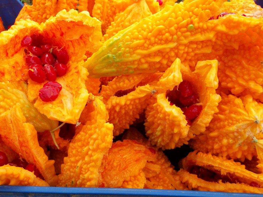 Момордика бальзамическая