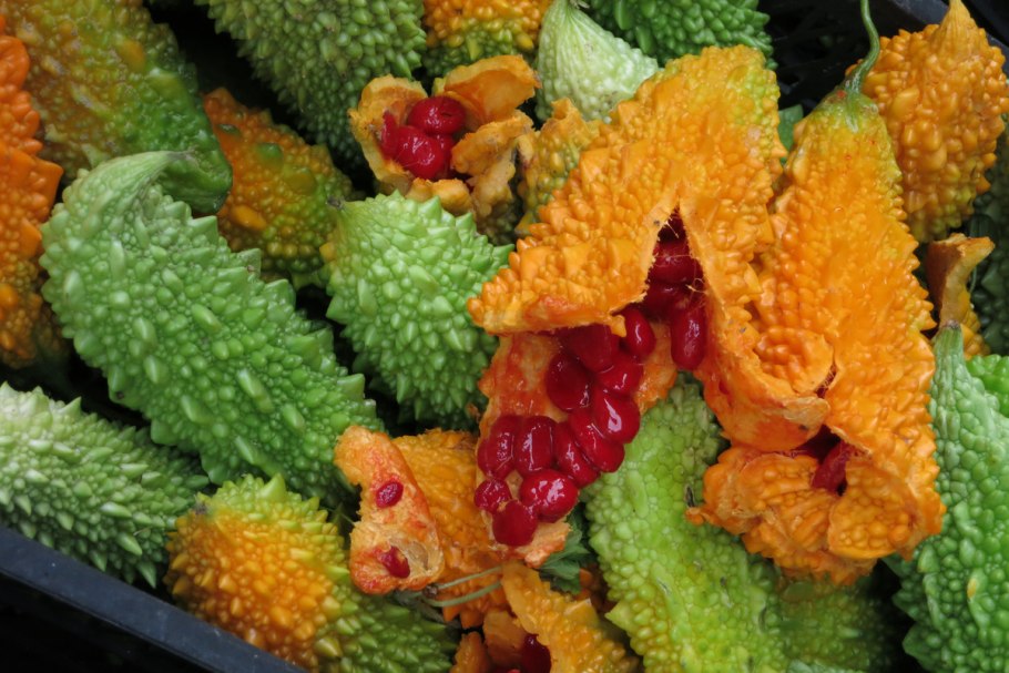 Момордика желтый дракон