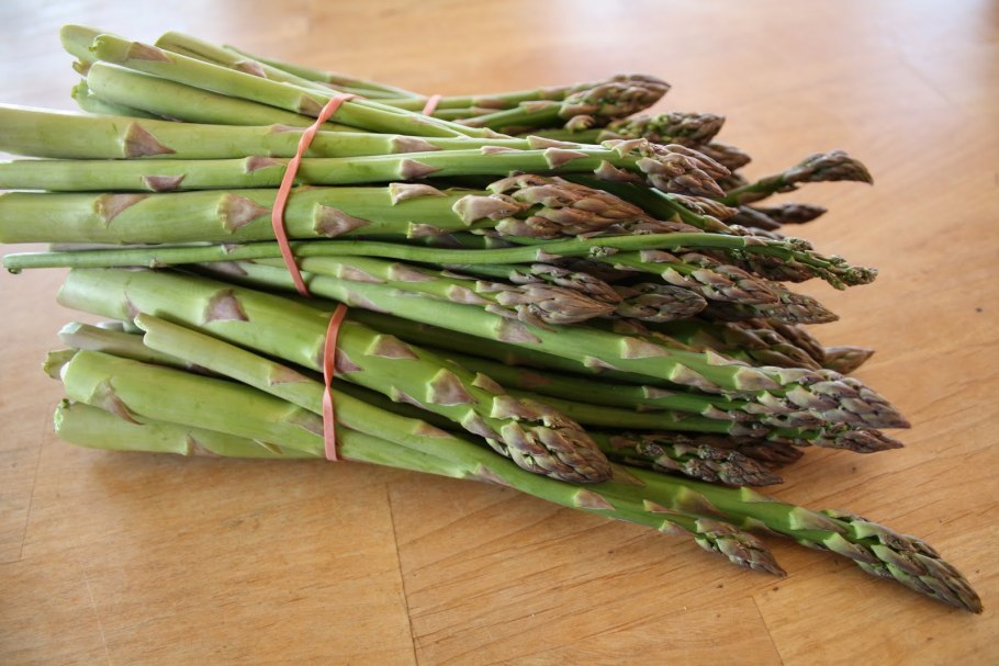 Спаржа маловетвистая