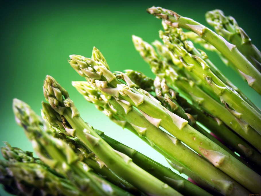 Спаржа (Asparagus officinalis).