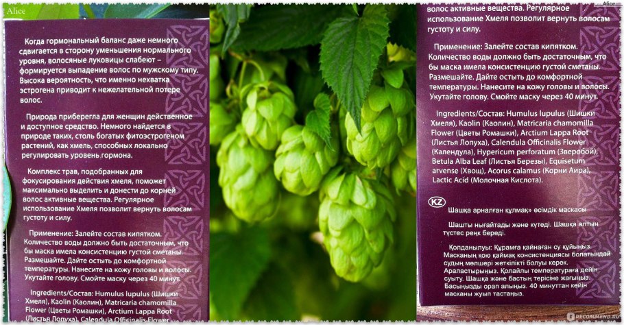 Хмель в шишках Фаворит (ЧУВАШХМЕЛЬПРОМ, Россия), 50 г