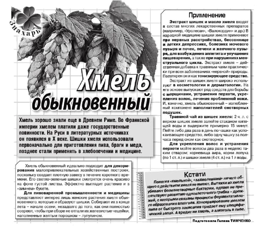 Хмель обыкновенный химический состав